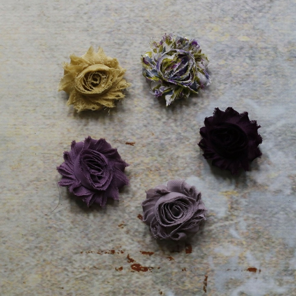 New set of 5 shabby chic hair clips